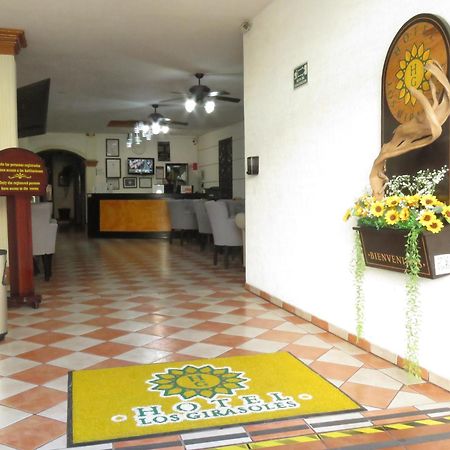 Hotel Los Girasoles เตปิก ภายนอก รูปภาพ